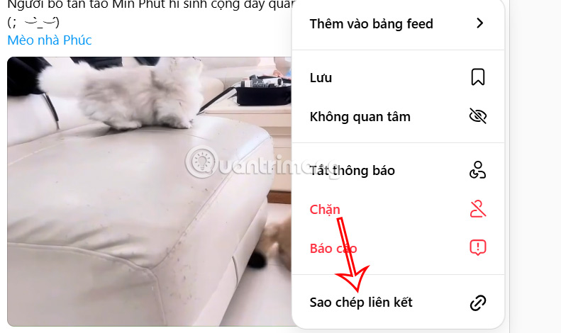 tai-video-threads-1.jpg