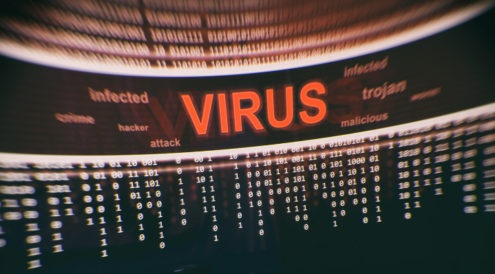 1700125348495-png.15761
