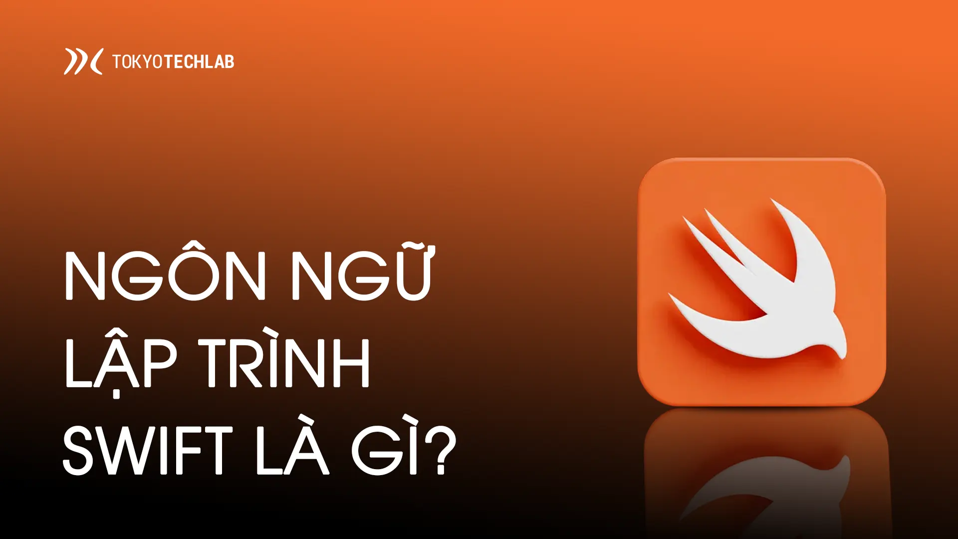 ngon_ngu_lap_trinh_swift_fe9813b389.webp