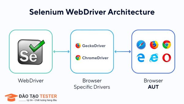 loai-hinh-selenium-webdriver.jpg