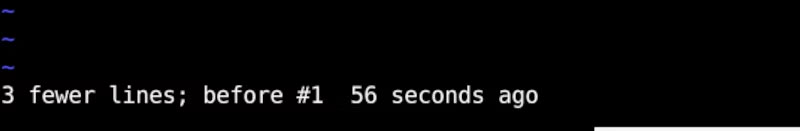 su-dung-undo-trong-vim-1.jpg