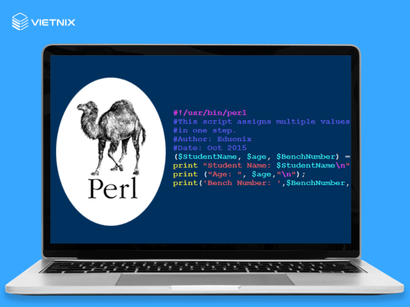 perl-la-gi.png