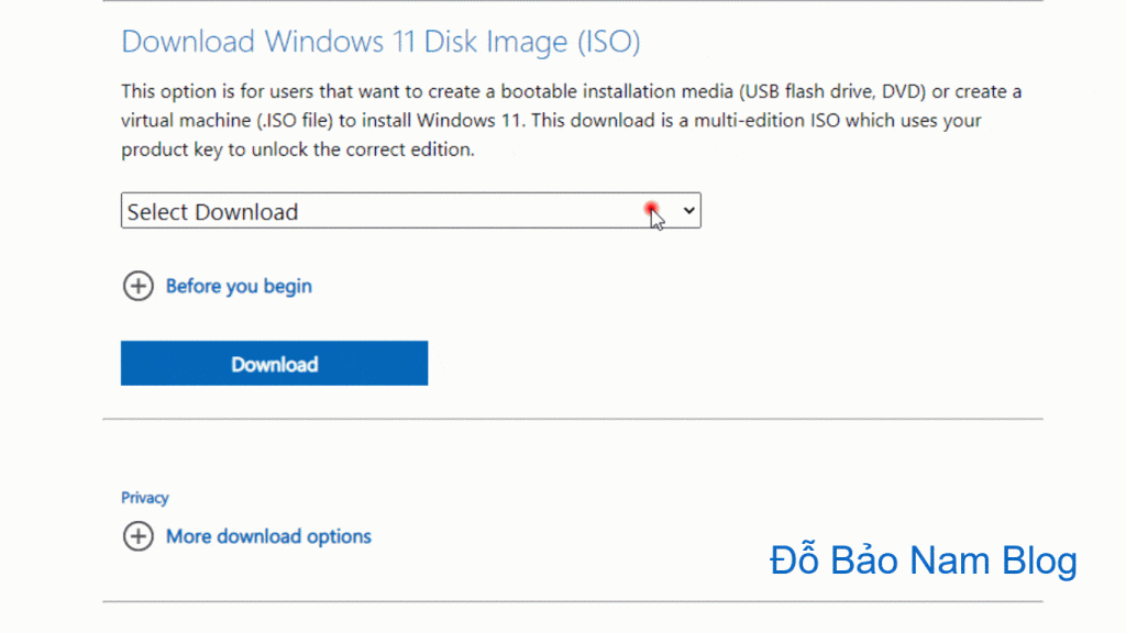 download-win-11-iso-1-1024x576.gif