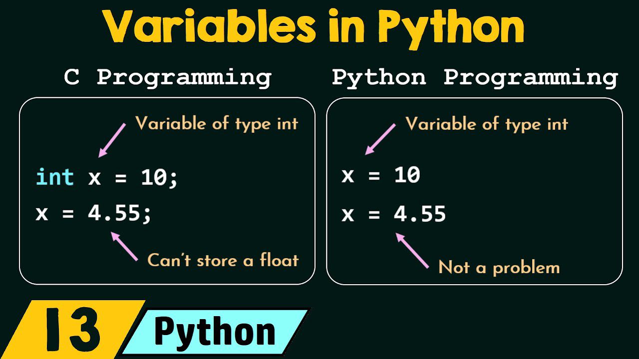 bien-trong-python.jpg